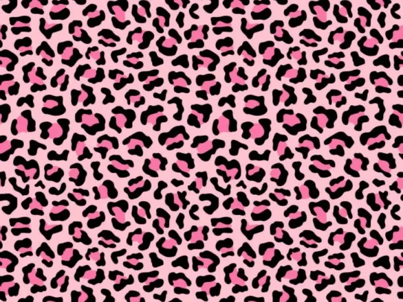 OnlyFans cuenta lillmissmaee header 2