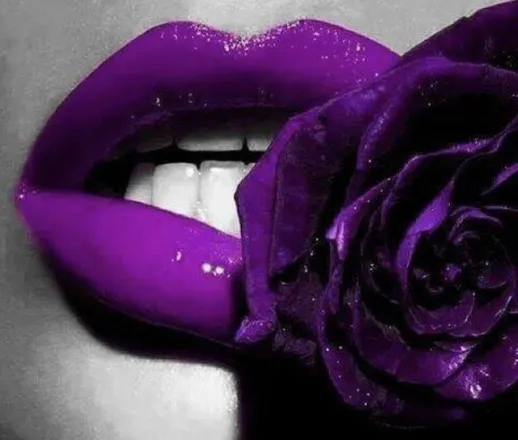 OnlyFans cuenta wildflower2094 header 2