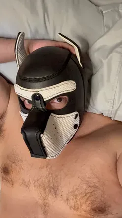 OnlyFans cuenta daddies4sons avatar 1