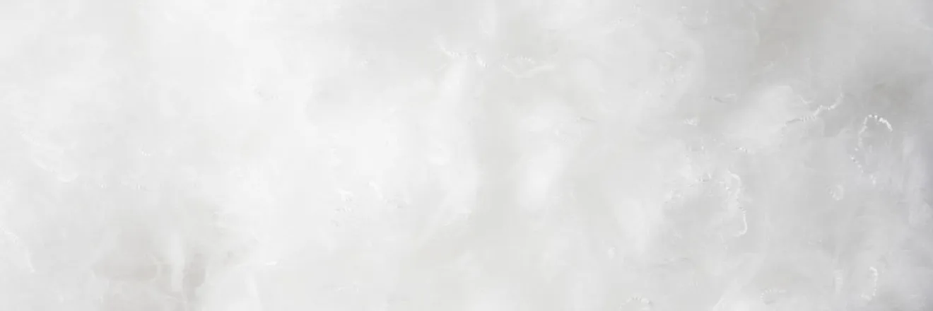 OnlyFans cuenta ero_sanne header 2