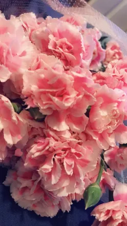 OnlyFans cuenta prettypinky97 header 2