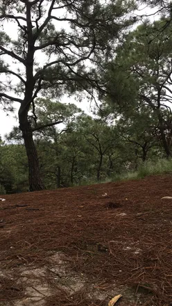 OnlyFans cuenta u121374459 header 2