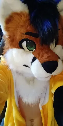 OnlyFans of noctafox