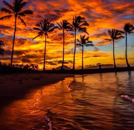 OnlyFans cuenta floridagrlnexxtdoor header 2