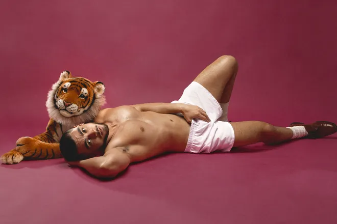 OnlyFans de dancekangaroo