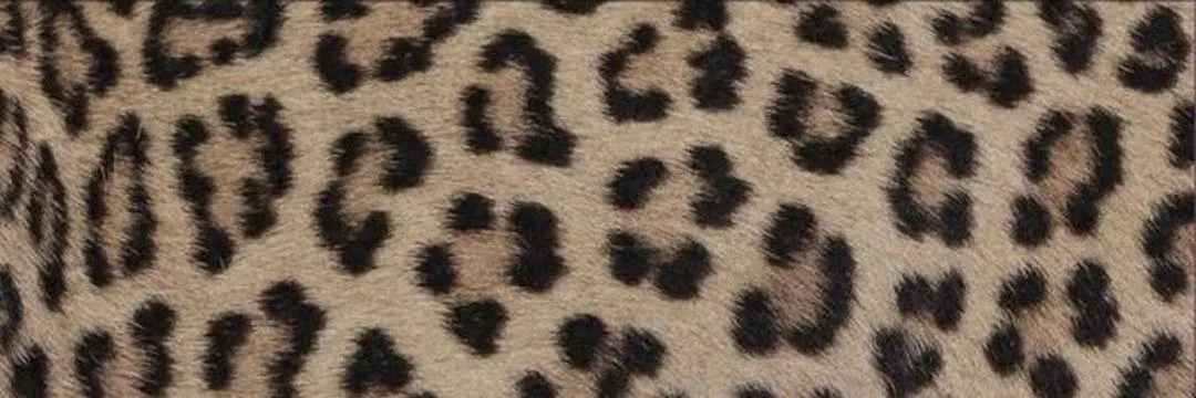 OnlyFans cuenta mistressalayah header 2