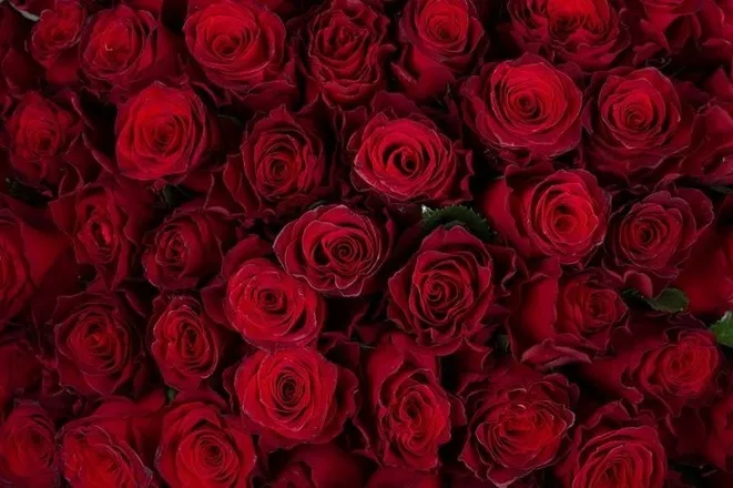 OnlyFans cuenta mi0417 header 2