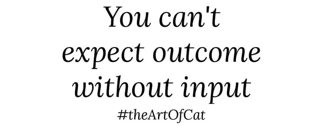 OnlyFans cuenta theartofcat header 2