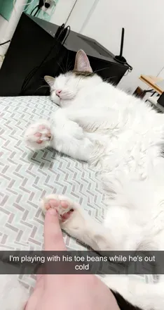 OnlyFans account  bootoebeans avatar 1
