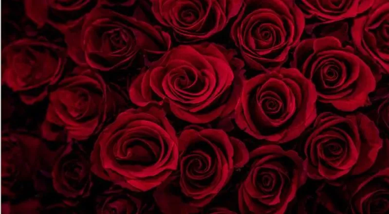 OnlyFans account  valerie_1997 header 2