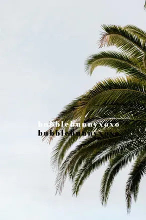OnlyFans cuenta bubblebunnyxoxo header 2