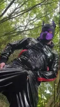 OnlyFans cuenta dom_pup_mikey avatar 1