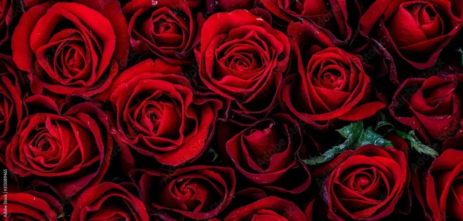 OnlyFans cuenta synfulskylar header 2