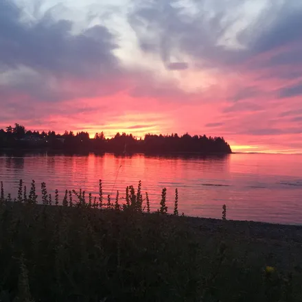 OnlyFans account  cremekitty header 2