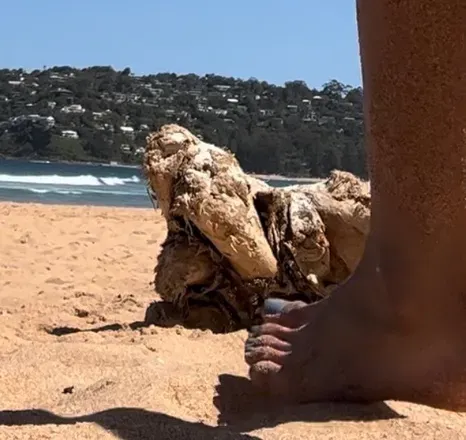 OnlyFans cuenta cams.feet05 avatar 1