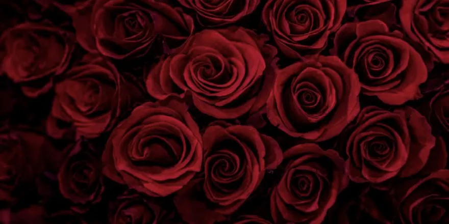 OnlyFans cuenta liahhlove header 2
