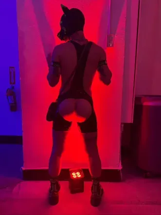 OnlyFans cuenta pupxclover avatar 1