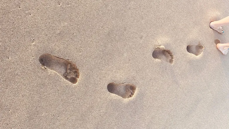 OnlyFans cuenta sandyfeetgoddess header 2
