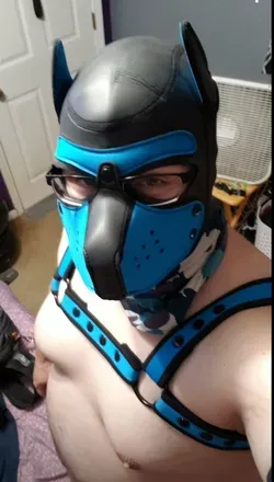 OnlyFans cuenta puphavoc avatar 1