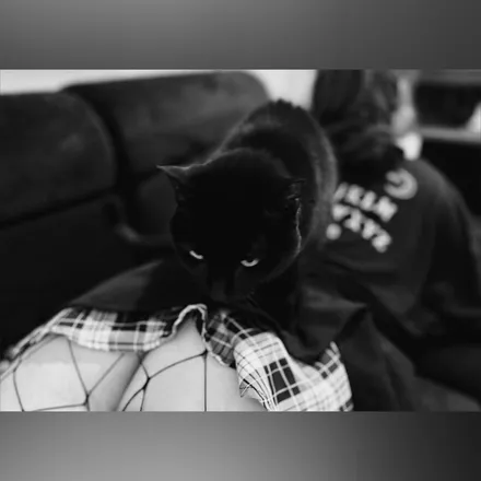 OnlyFans cuenta sittinkitty header 2