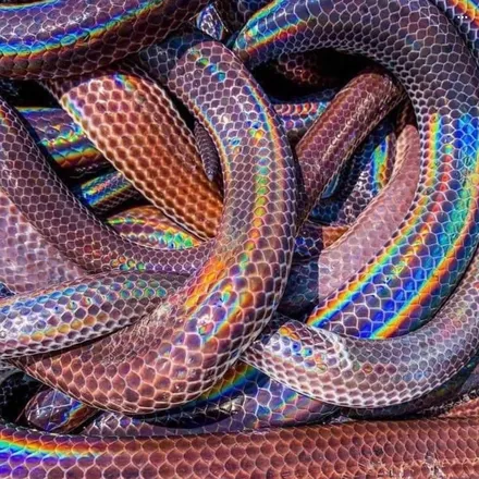 OnlyFans cuenta razorribbons header 2