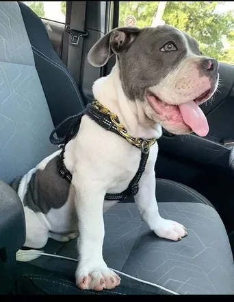 OnlyFans cuenta kingkeonnxx avatar 1