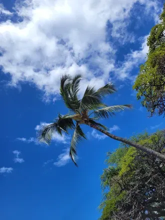 OnlyFans cuenta islandbaby18 header 2