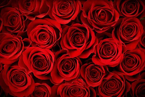 OnlyFans cuenta roseybat666 header 2