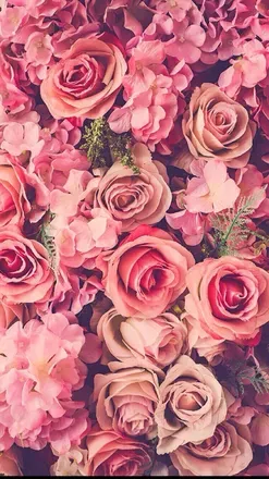 OnlyFans cuenta witchywebb header 1