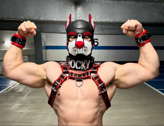OnlyFans cuenta musclepuprocky header 2