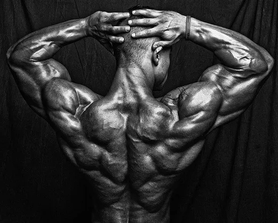OnlyFans cuenta fitfella header 2