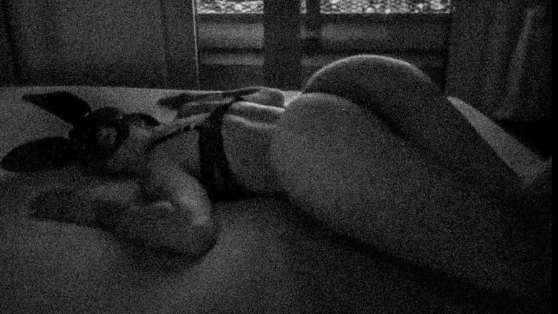 OnlyFans cuenta nohefnerbunny header 2