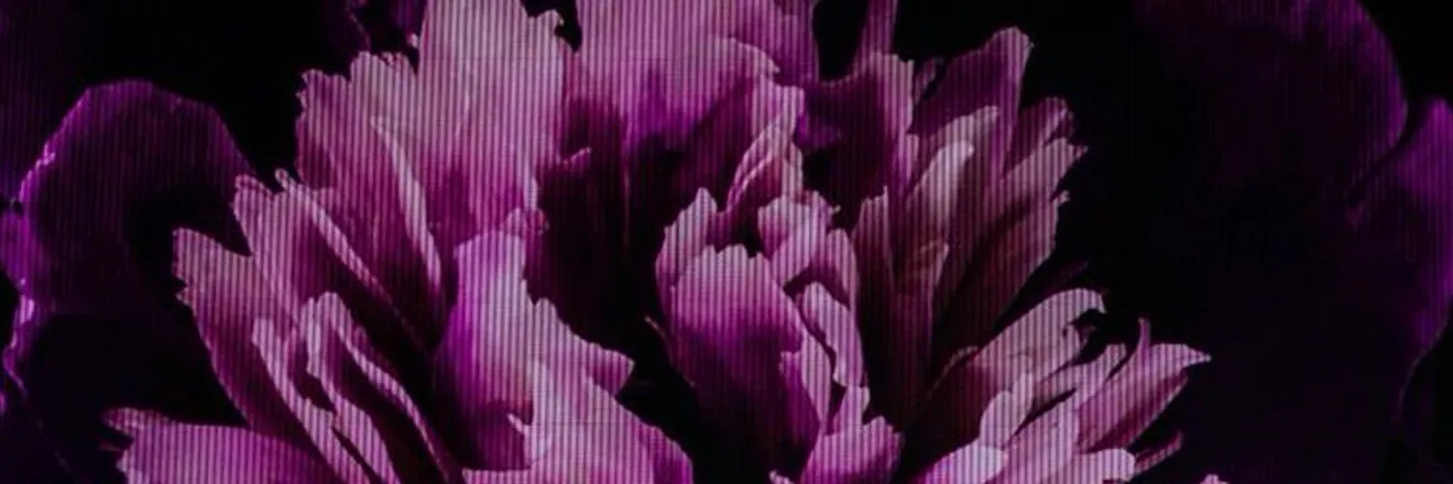 OnlyFans cuenta rasir20 header 2