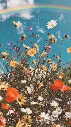 OnlyFans cuenta bonita.bella header 2