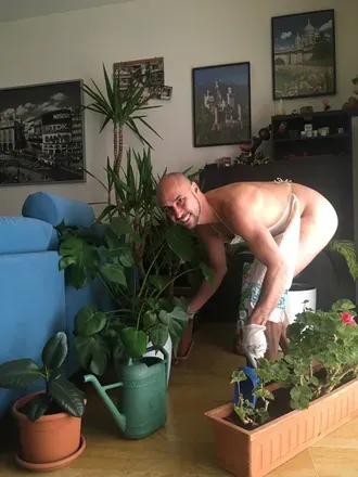 OnlyFans cuenta papasito_cum4u header 2