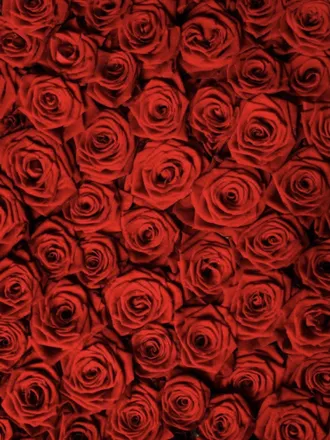 OnlyFans cuenta zaidiahpennell header 2