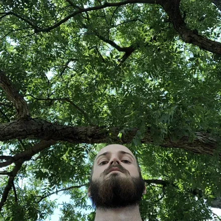OnlyFans account  birdeggs header 2