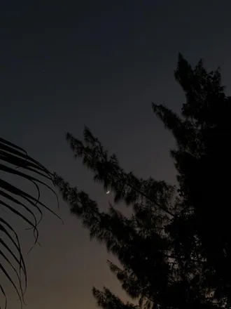 OnlyFans cuenta chico_asoleado header 1