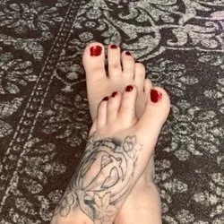 OnlyFans account  feetbykaitlyn avatar 1