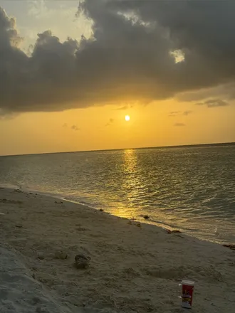 OnlyFans cuenta footpleasure_islandboi header 2