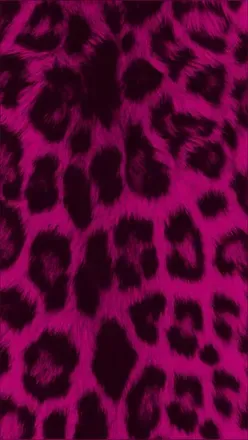OnlyFans account  midniteminx header 2