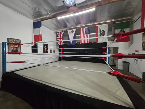 OnlyFans cuenta singletwrestler89 header 2