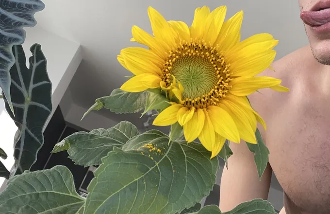 OnlyFans account  hotsaucce header 2