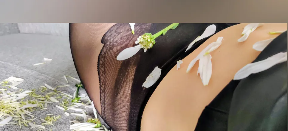 OnlyFans cuenta vanillathevixen header 2