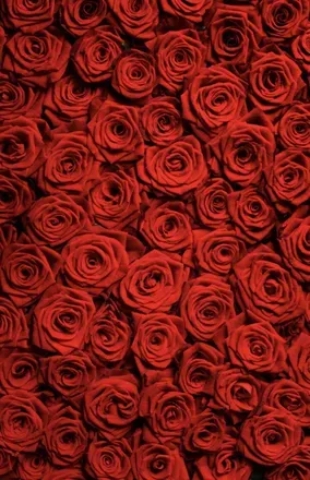 OnlyFans cuenta babytha header 1