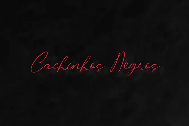OnlyFans account  cachinhos_negros header 2