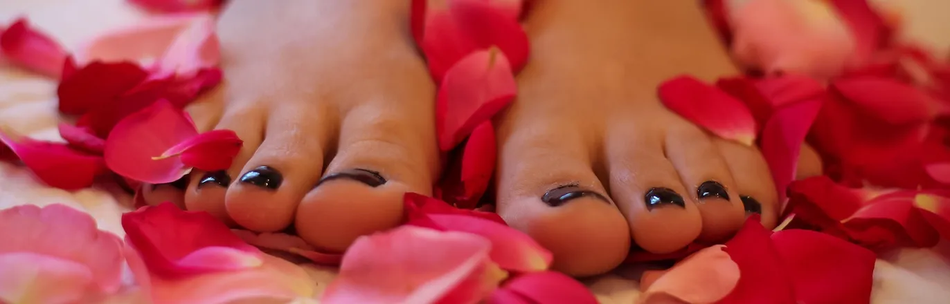OnlyFans account  twinklebless header 2
