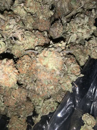OnlyFans account  grassroot420 header 2