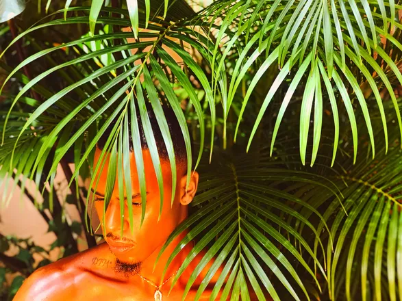OnlyFans cuenta xdxnnx header 2