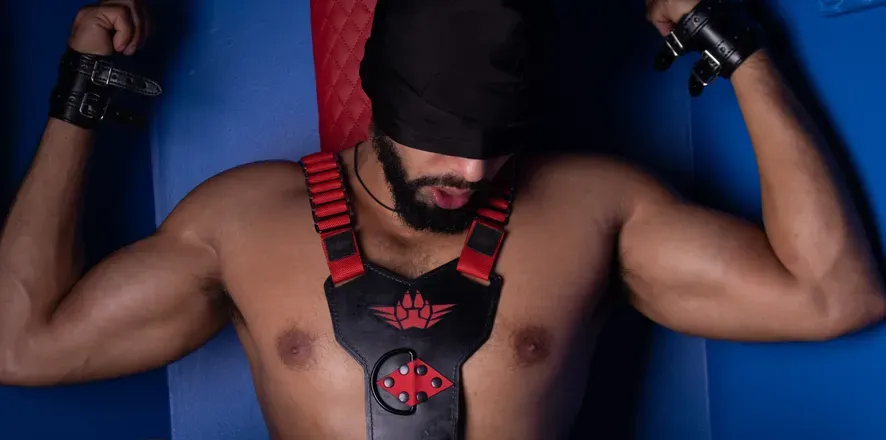 OnlyFans cuenta jhon.salamandro avatar 1